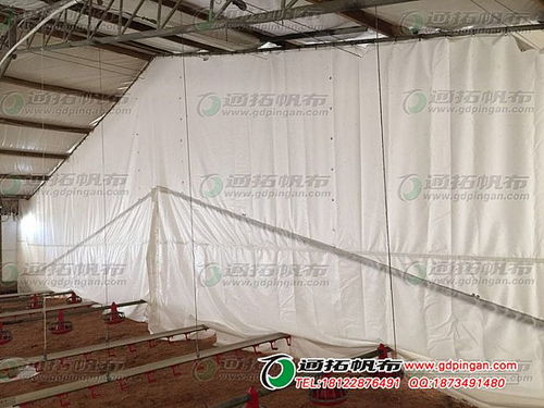 供應(yīng)配額白色篷布 非織造布,農(nóng)漁業(yè) 紡機網(wǎng)